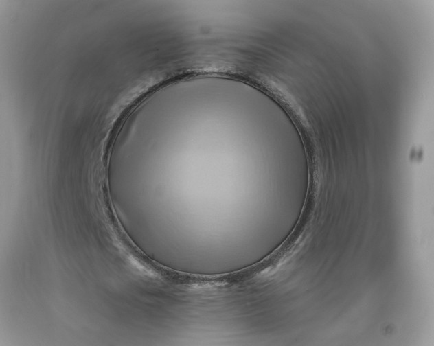 X0000091590721200709101039