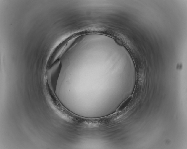 X0000091590726200709101040