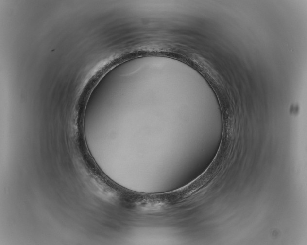 X0000091590727200709101040