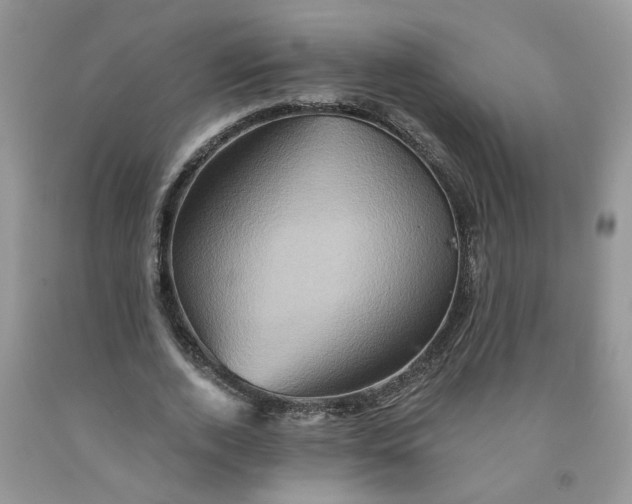 X0000091590728200709101040