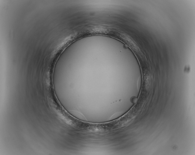 X0000091590729200709101040