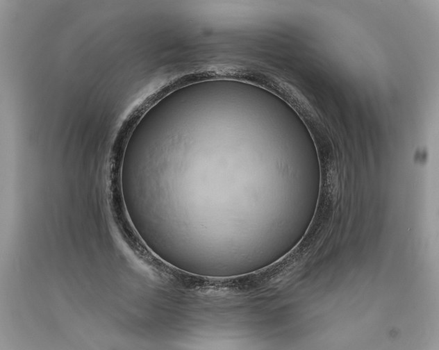 X0000091590730200709101040