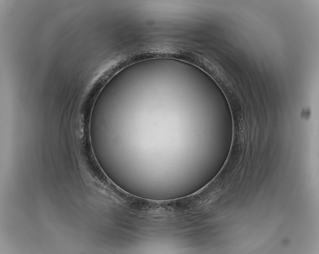 X0000091590731200709101040