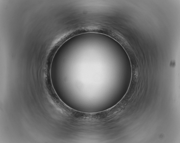 X0000091590732200709101040