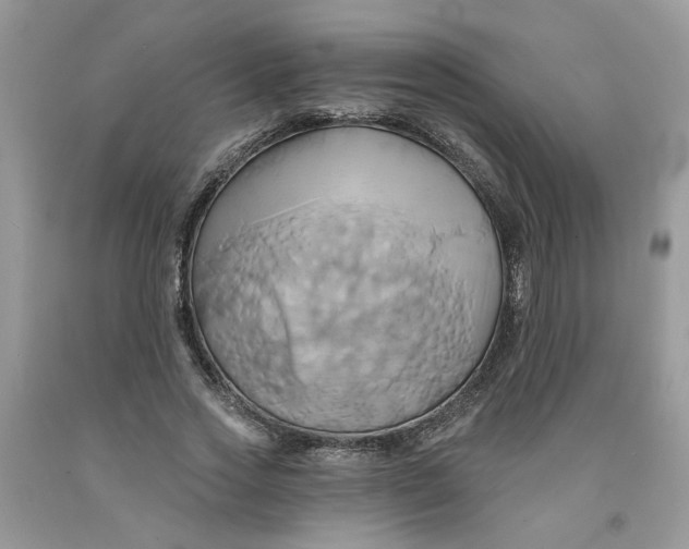 X0000091590733200709101040