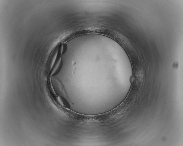 X0000091590734200709101040