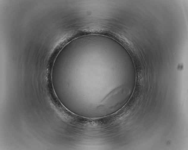 X0000091590735200709101040