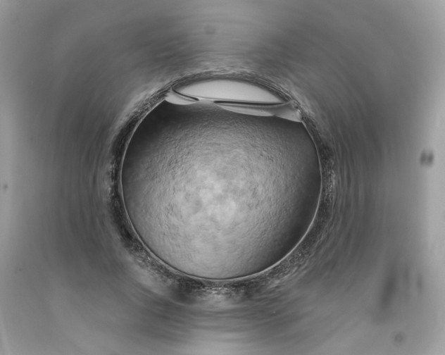 X0000091590736200709101040