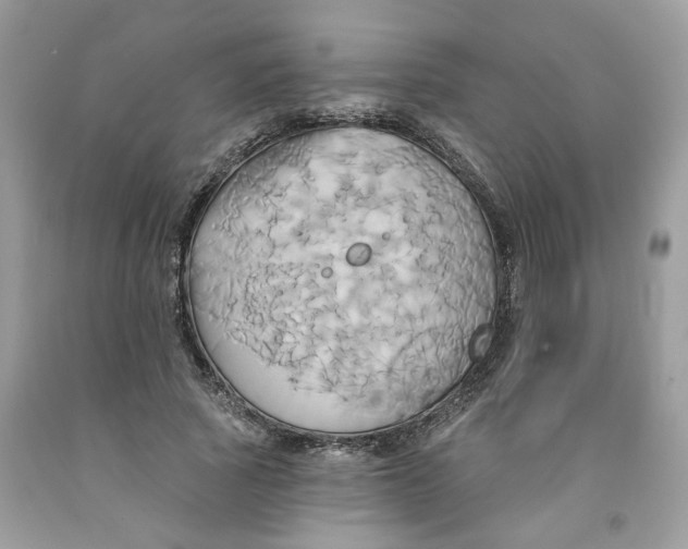 X0000091590737200709101040