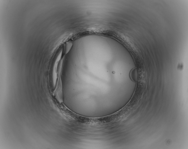 X0000091590738200709101040