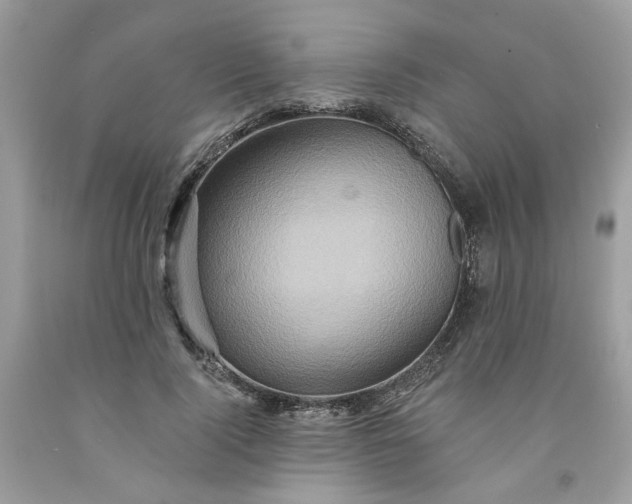 X0000091590740200709101040