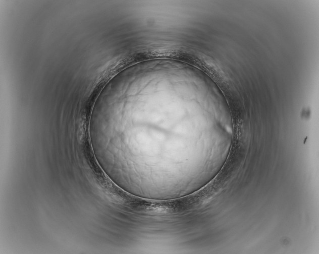 X0000091590741200709101040