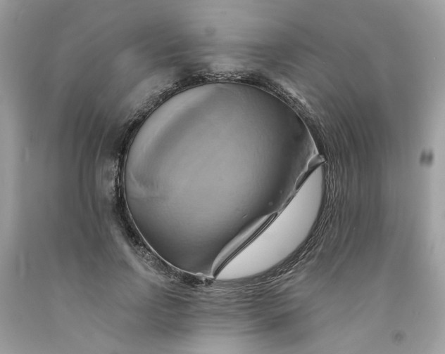 X0000091590742200709101040