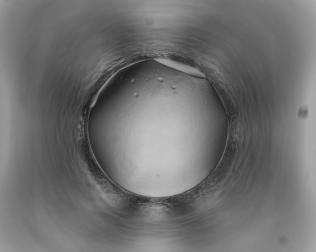 X0000091590743200709101040