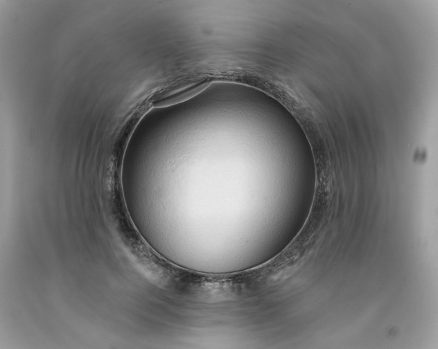 X0000091590744200709101040