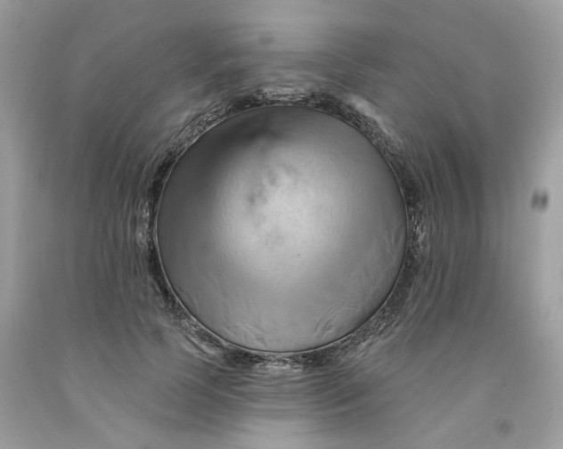 X0000091590745200709101040