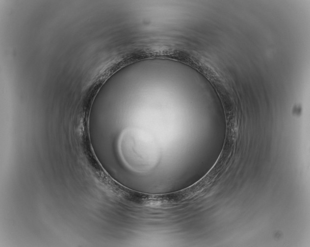 X0000091590746200709101040