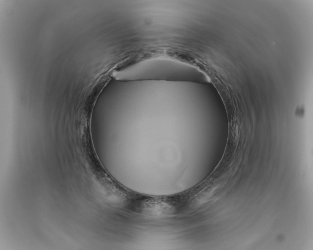 X0000091590747200709101040