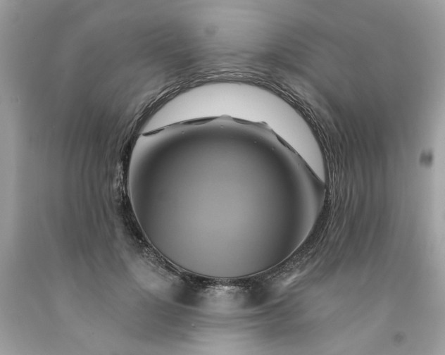 X0000091590748200709101040