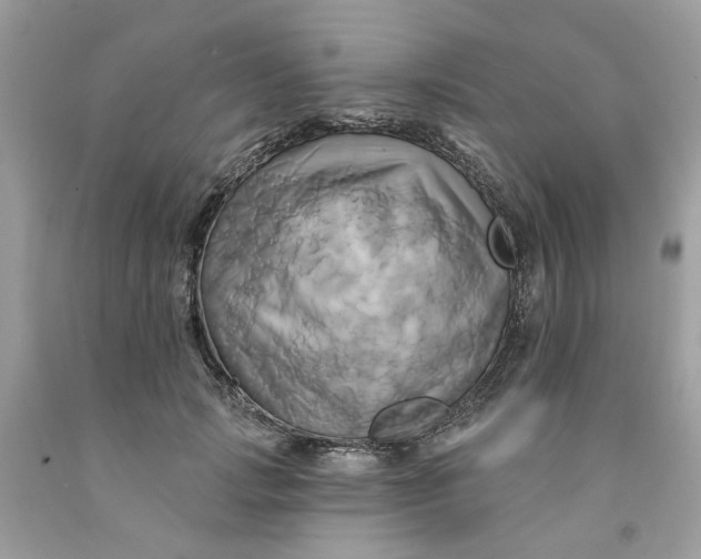 X0000091590749200709101040