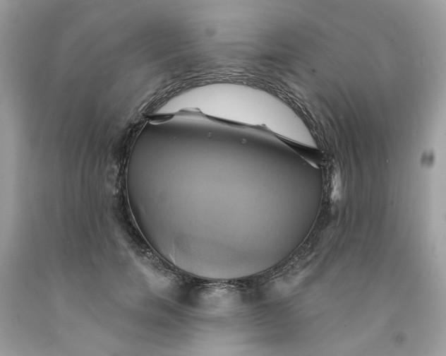 X0000091590750200709101040