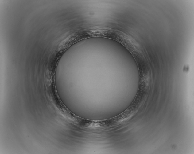 X0000091590751200709101040