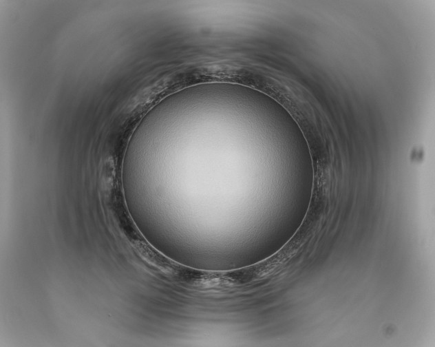 X0000091590752200709101040