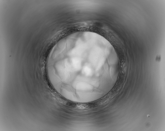 X0000091590753200709101040