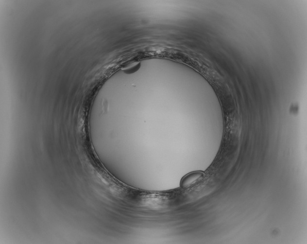 X0000091590754200709101040