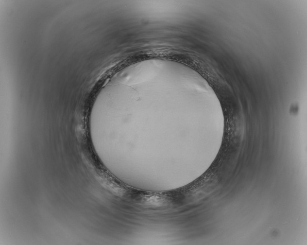 X0000091590755200709101040