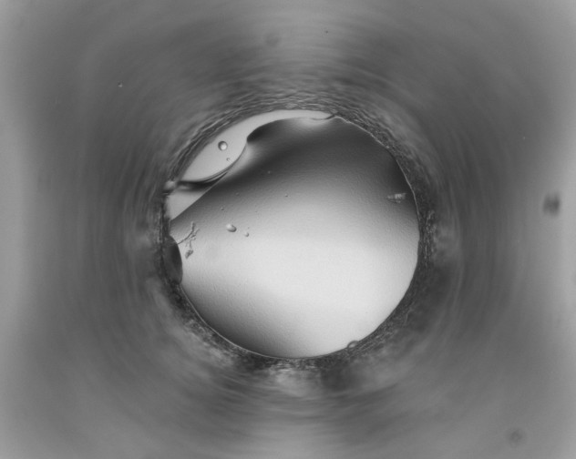 X0000091590756200709101040