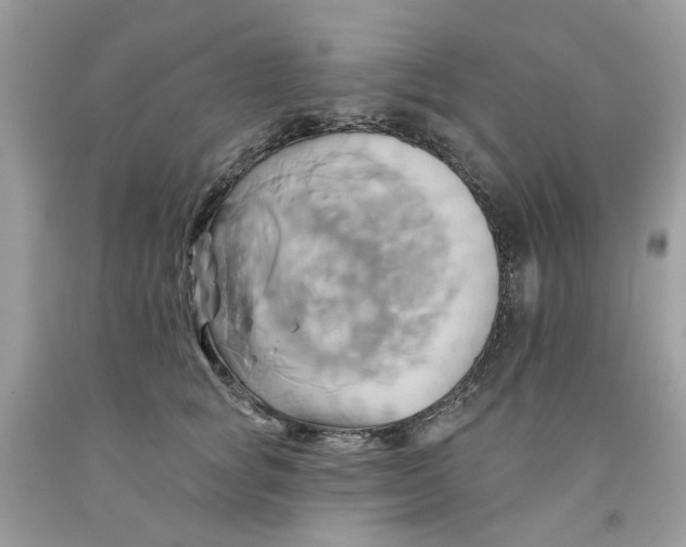 X0000091590757200709101040