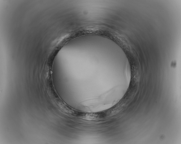 X0000091590758200709101040