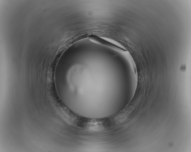 X0000091590760200709101040