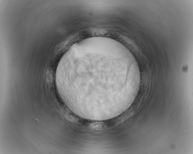 X0000091590761200709101040