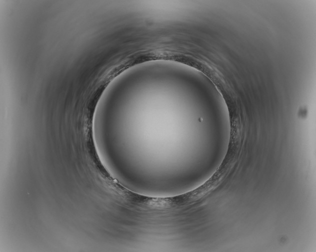 X0000091590762200709101040