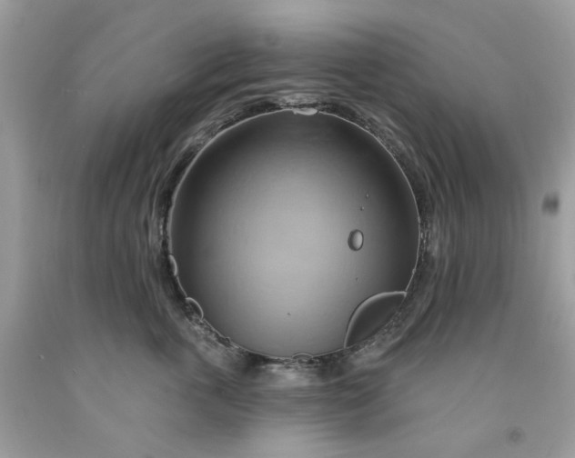 X0000091590763200709101040