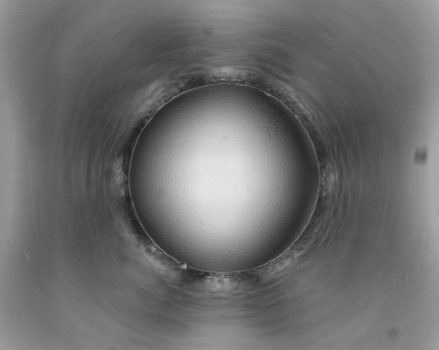 X0000091590764200709101040