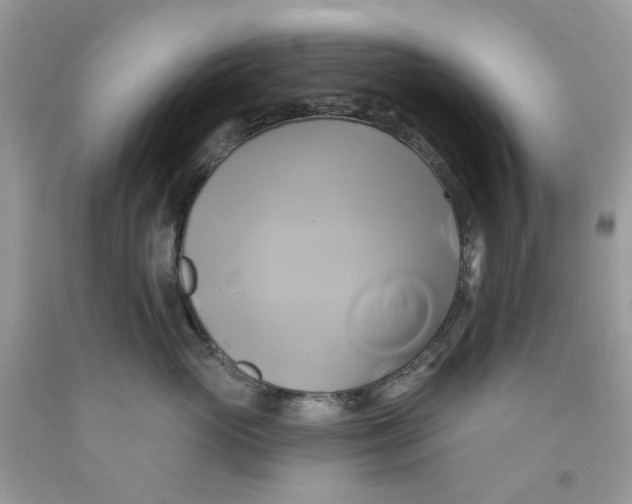 X0000091590765200709101040