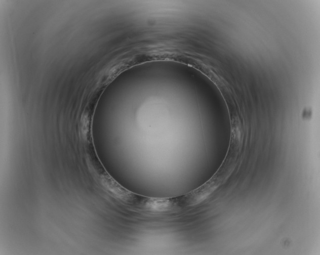 X0000091590767200709101040