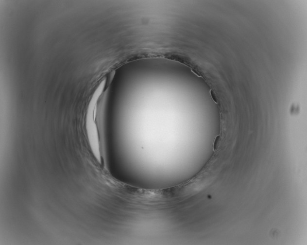 X0000091590768200709101040