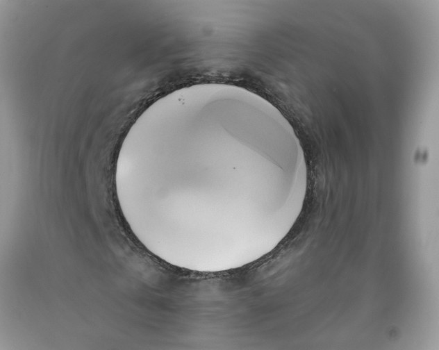 X0000091590769200709101039