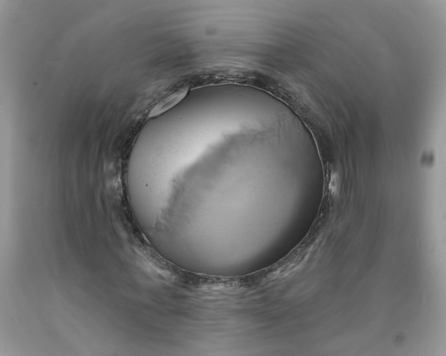 X0000091590771200709101039