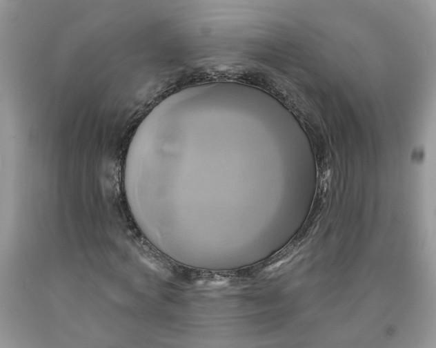 X0000091590772200709101039