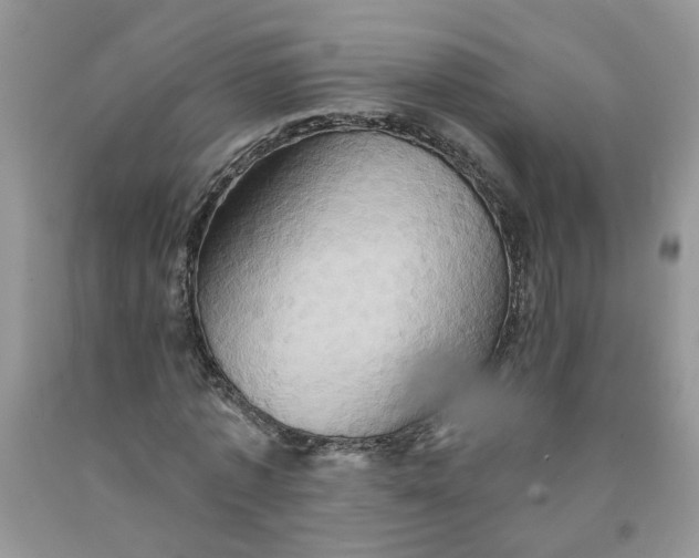 X0000091590773200709101039