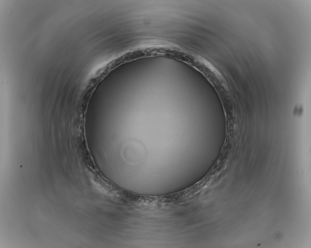 X0000091590775200709101039