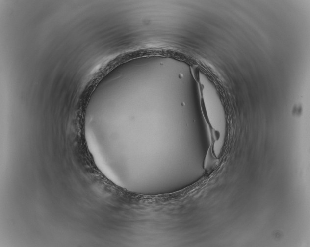 X0000091590776200709101039