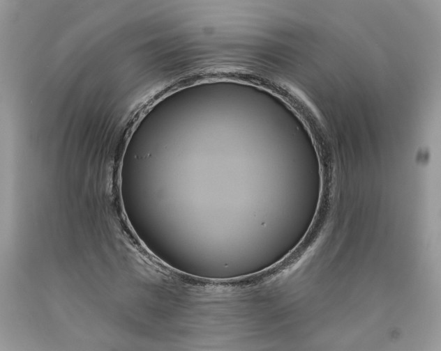 X0000091590777200709101039