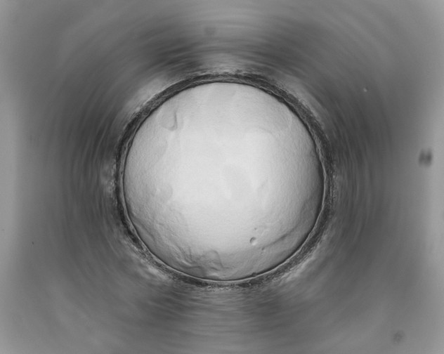 X0000091590778200709101039