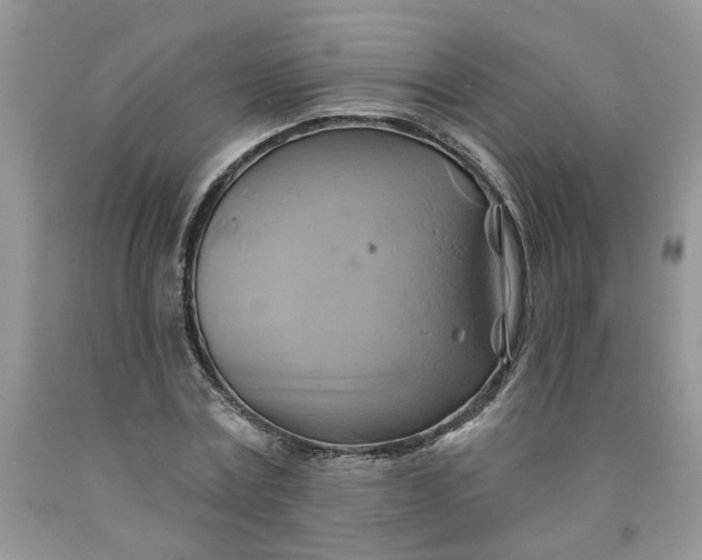 X0000091590779200709101039